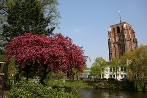 Aluguer de carros Leeuwarden